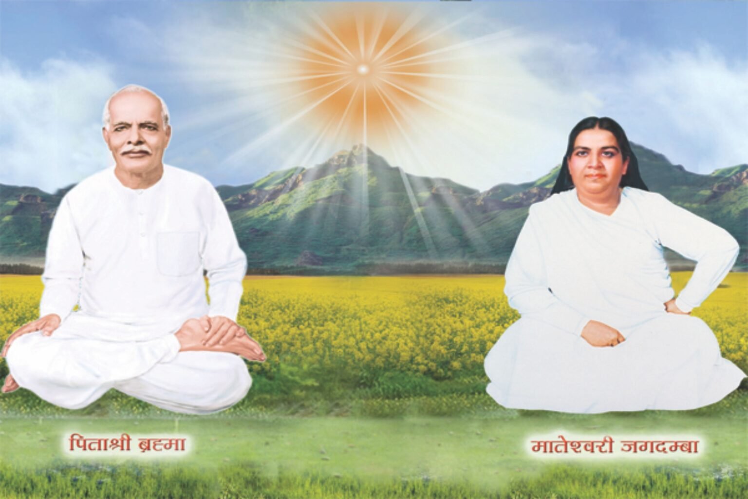 Baba Flex Banner & Vinyl